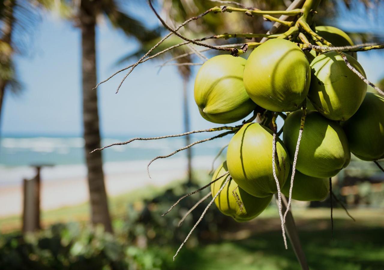 Flat Guarajuba Beira Da Praia Pe Na Areia מראה חיצוני תמונה